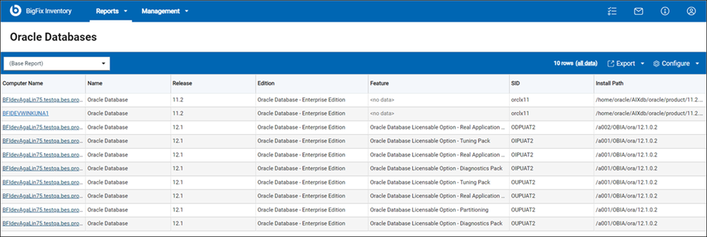 Oracle Databases report