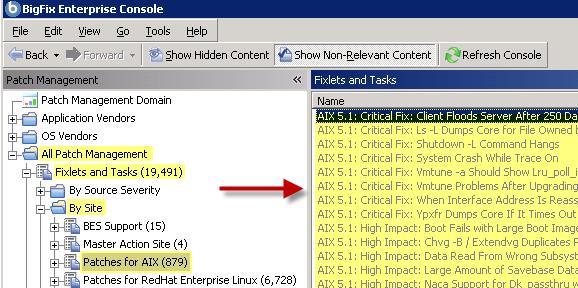 Fixlet list panel view