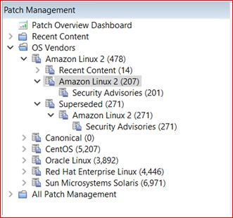 Patch Management navigation tree