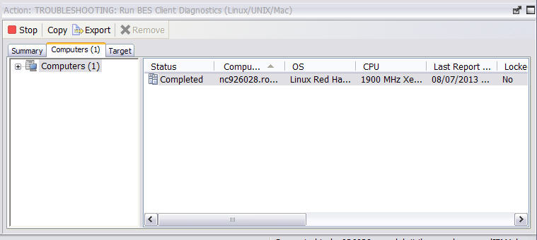 The following window displays the Computers tab of the Action document. The Action document displays the number of computers affected by the specified action and the current status of each.