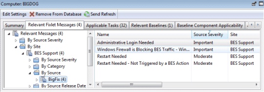 This window displays the Relevant Fixlet Messages tab which lists where all the relevant Fixlet messages for the selected computer are displayed.