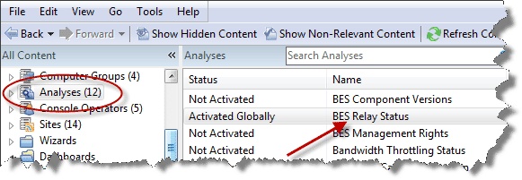 This window displays the domain panel navigation tree where the Analysis option is circled on the left hand side of the panel. In the middle of the panel the Analysis document is displayed in the work area of the console.