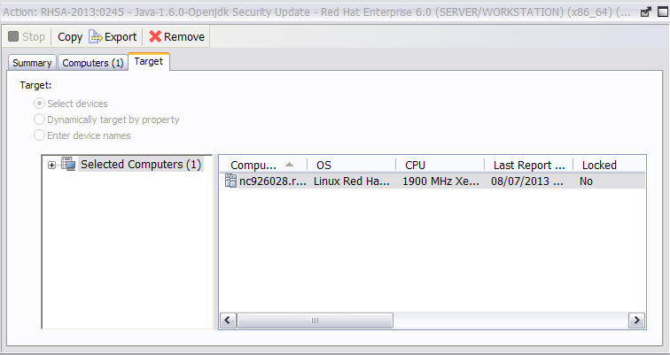 This window displays the Target tab of the Action document presents a read-only display of the computers targeted by the specified action.