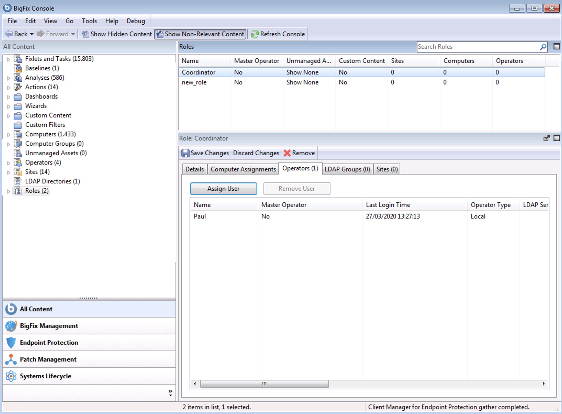 This widow displays the domain panel and a node labelled Roles. The Roles list is displayed at the bottom.