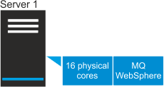 Full capacity, physical cores on one server