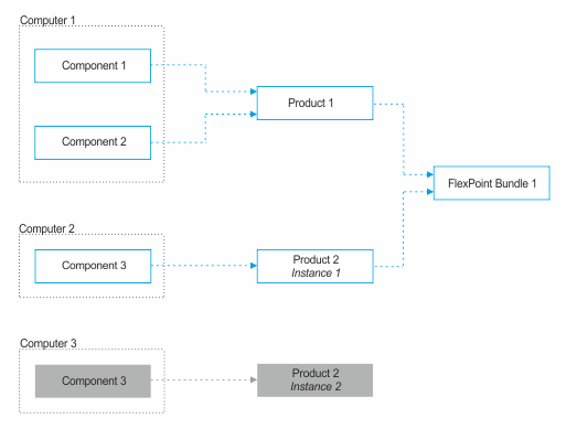 FlexPoint bundle with two bundled products.