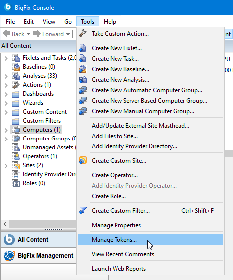 This window displays the Manage Tokens item under the Tools menu