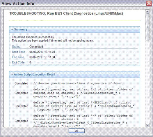 This window displays the View Action Info dialog under which information about a specific action for a given computer is displayed.