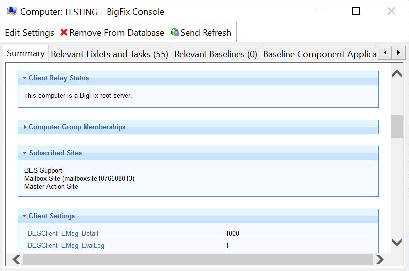 This window displays the Summary tag under which the Client Relay Status, Computer Group Memberships and Subscribed Sites information is displayed.