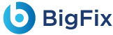 BigFix Workspace