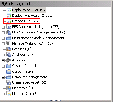 Navigation in the BigFix console.