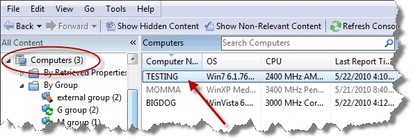 This window displays the domain panel navigation tree. It also displays the computer tab circled on the left and a list of computers on the right.