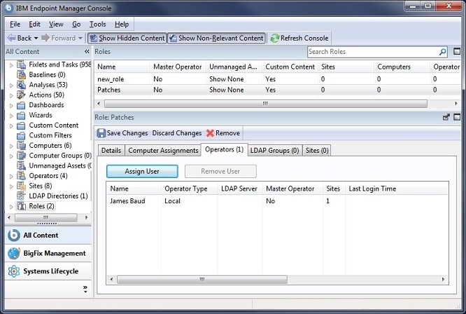 This widow displays the domain panel and a node labelled Roles. The Roles list is displayed at the bottom.