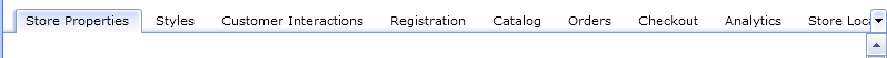 Tabbed properties view in the Store Management tool