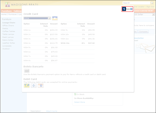 Payment type window screen capture