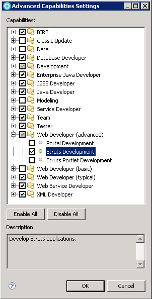 Selecting Struts Development