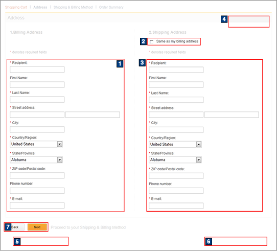Capture d'écran de la page Adresse : paiement sans enregistrement