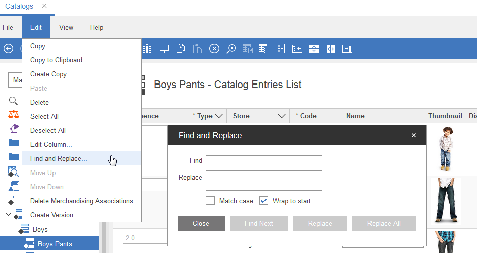 Capture d'écran Chercher et remplacer