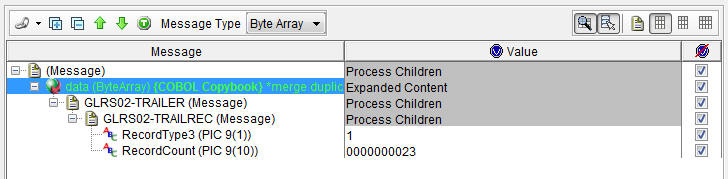 The data field is expanded.