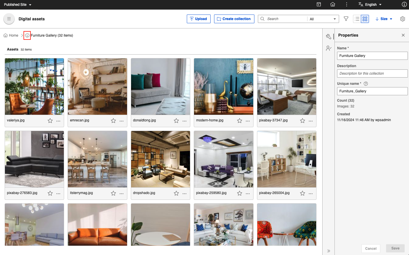 DAM Collection Properties