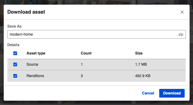 Download media asset and renditions
