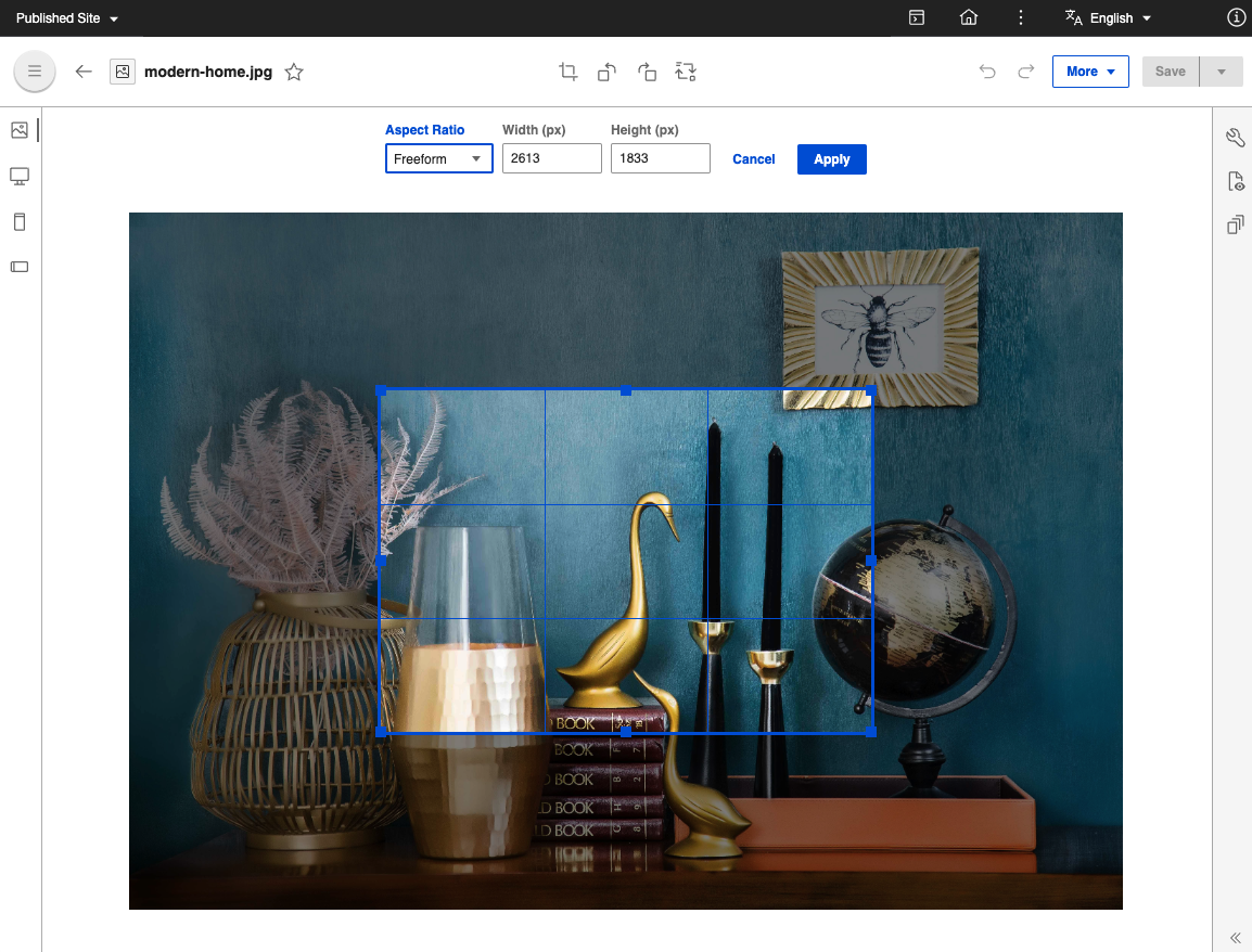 Digital Asset Management asset edit options