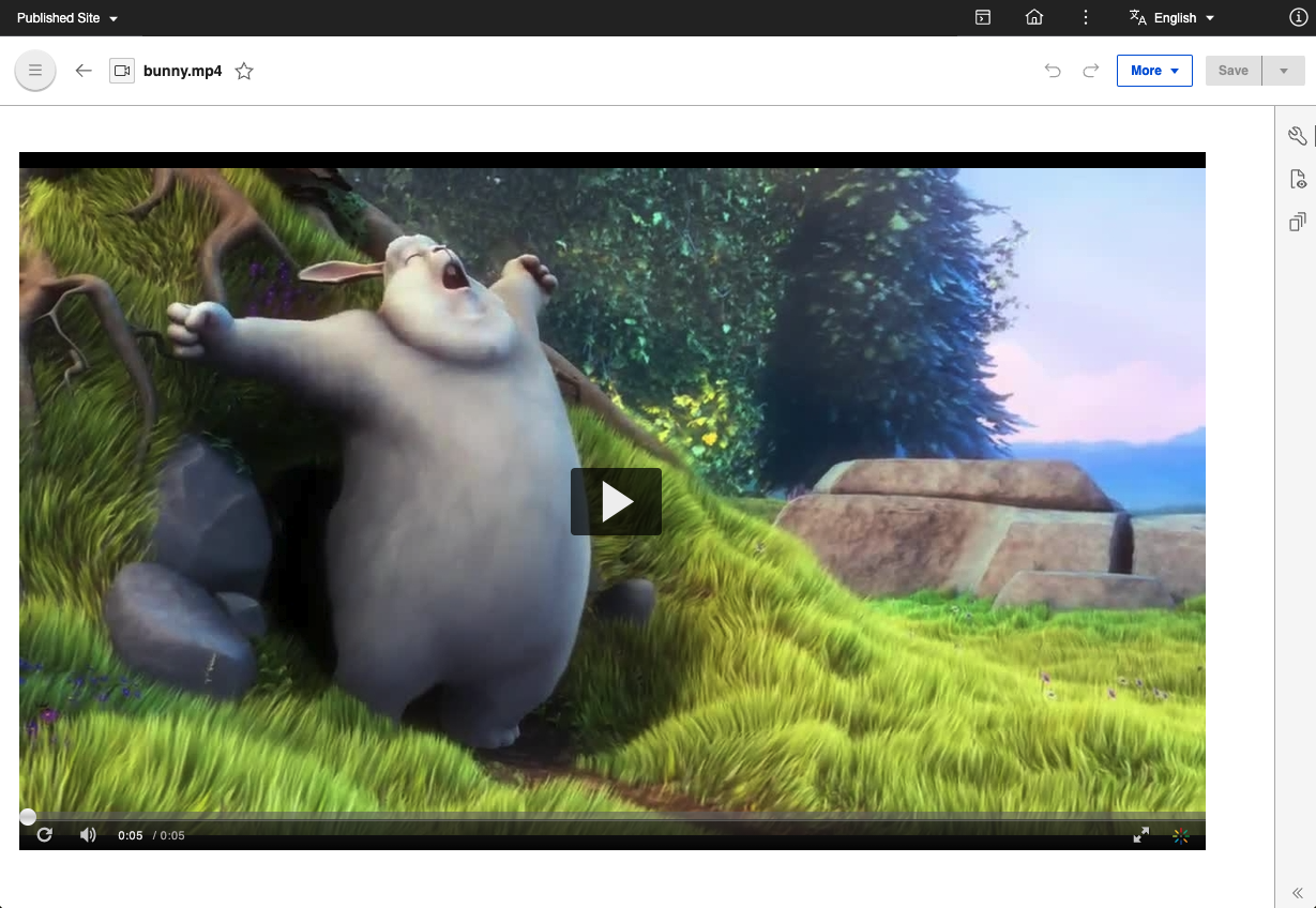 Playing a video using the Kaltura Player