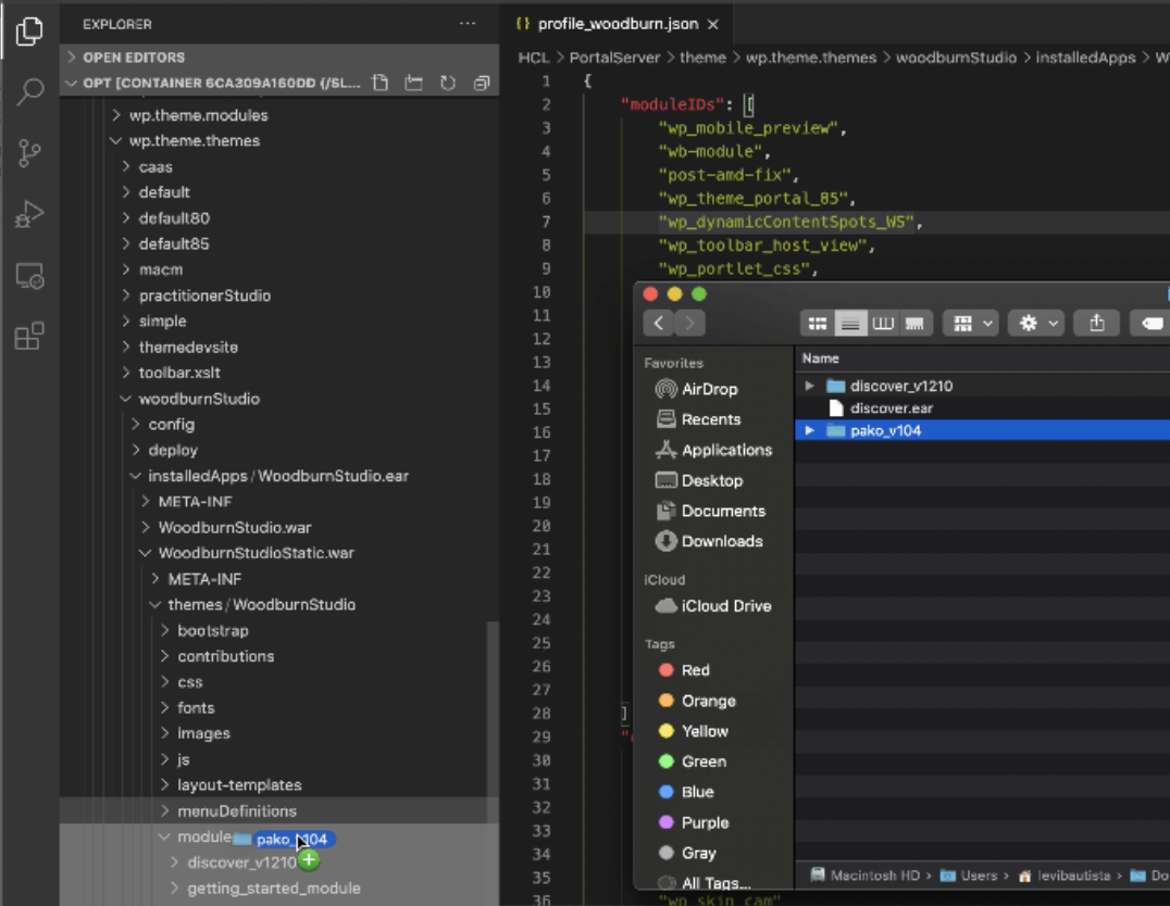 Copy the Discover integration modules to the DX theme modules