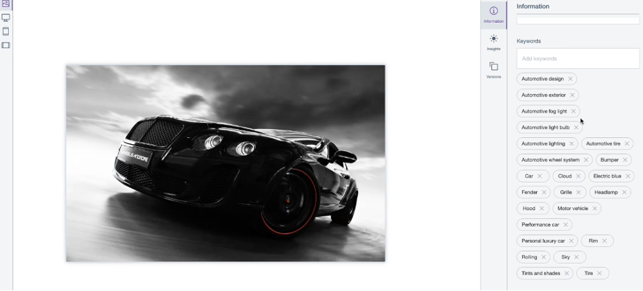 Leverage integration with Google Vision API image tagging on DAM assets