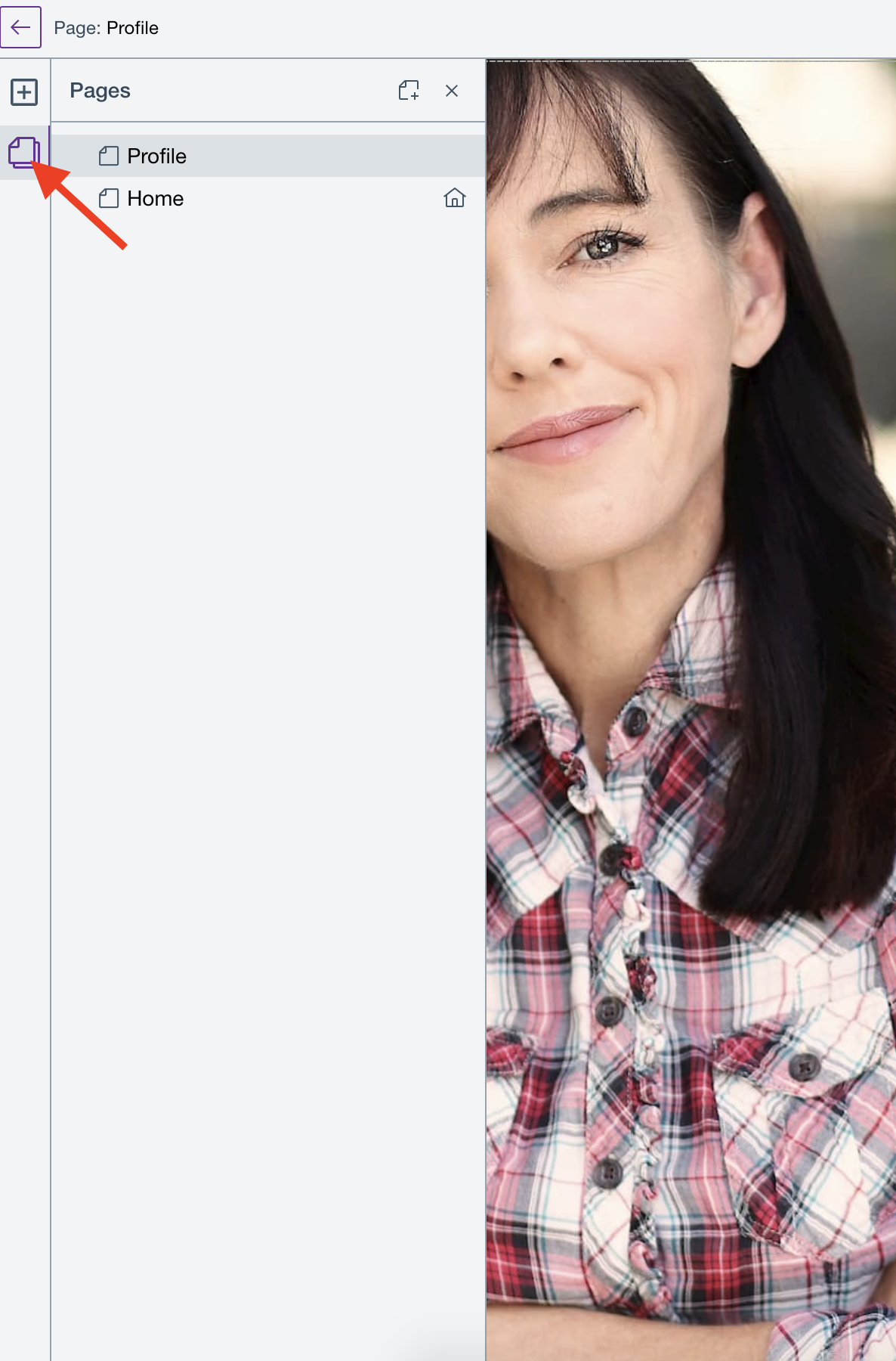 Click Pages icon and switch to edit view of another page