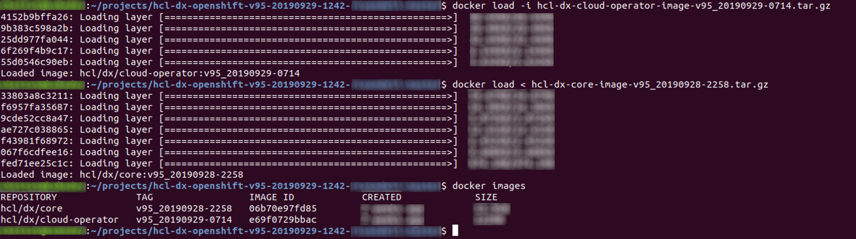 Loading the container into your Docker repository
