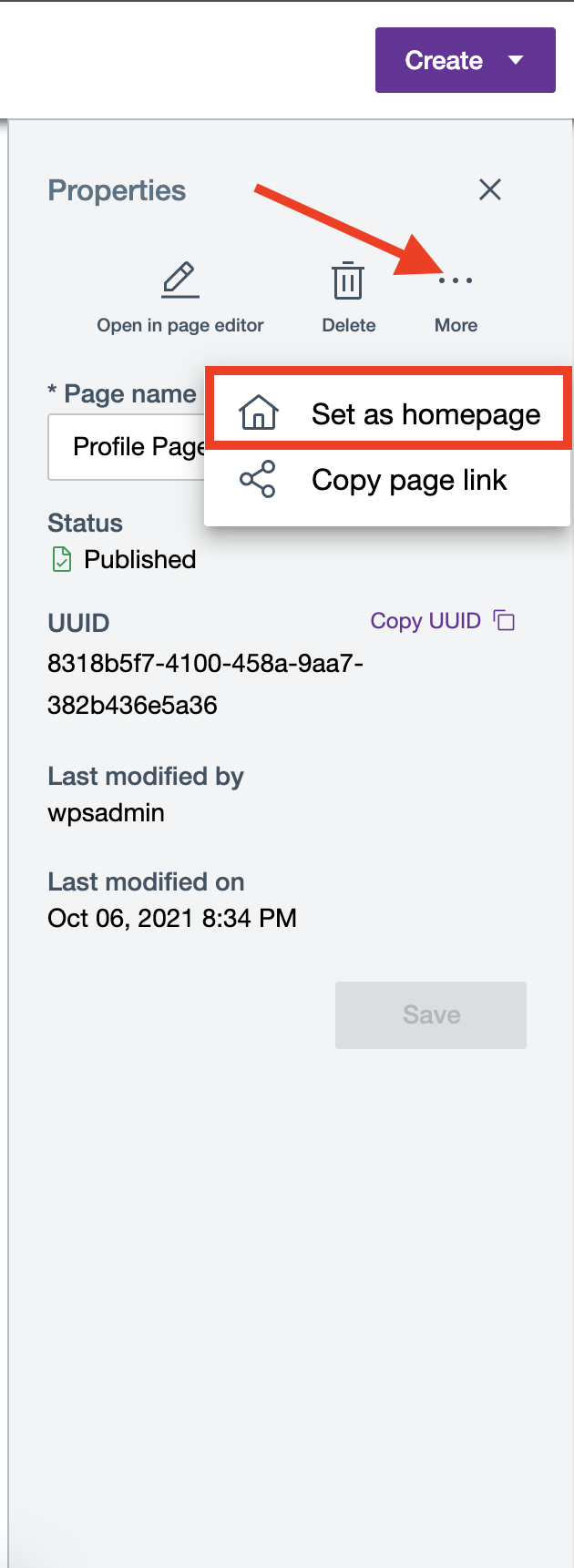 Click Set as homepage