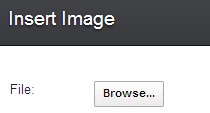 Insert Image window