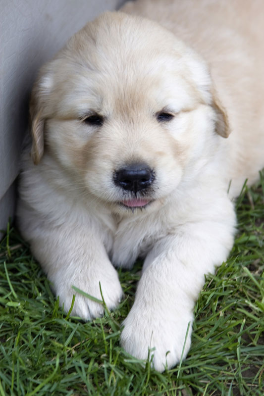 [image description/title]