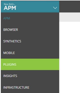 option S=PLUGINS dans le menu APM