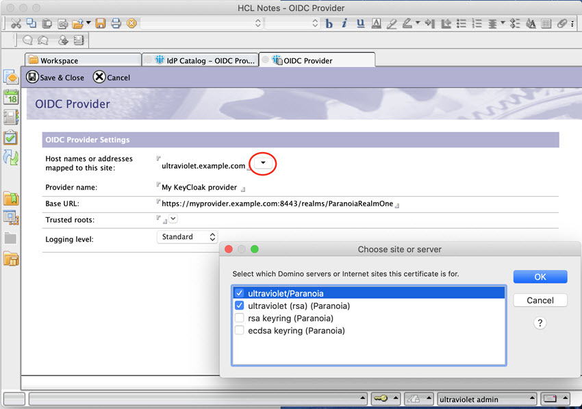 IdP Catalog app showing list of options for "Host names or addresses mapped to this site" field