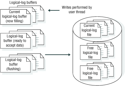 The paragraph that precedes this figure describes the content of the figure.