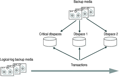 This figure shows data moving from backup media and transactions moving from logical log backups to critical and non-critical dbspaces.