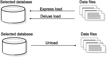 begin figure description - This figure is described in the surrounding text. - end figure description