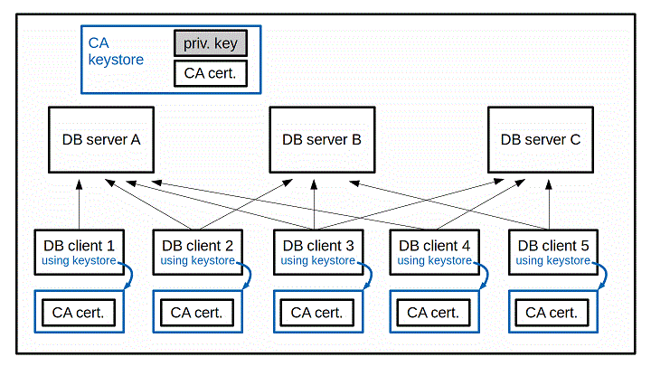 alt_single_CA_cert_3serv_env