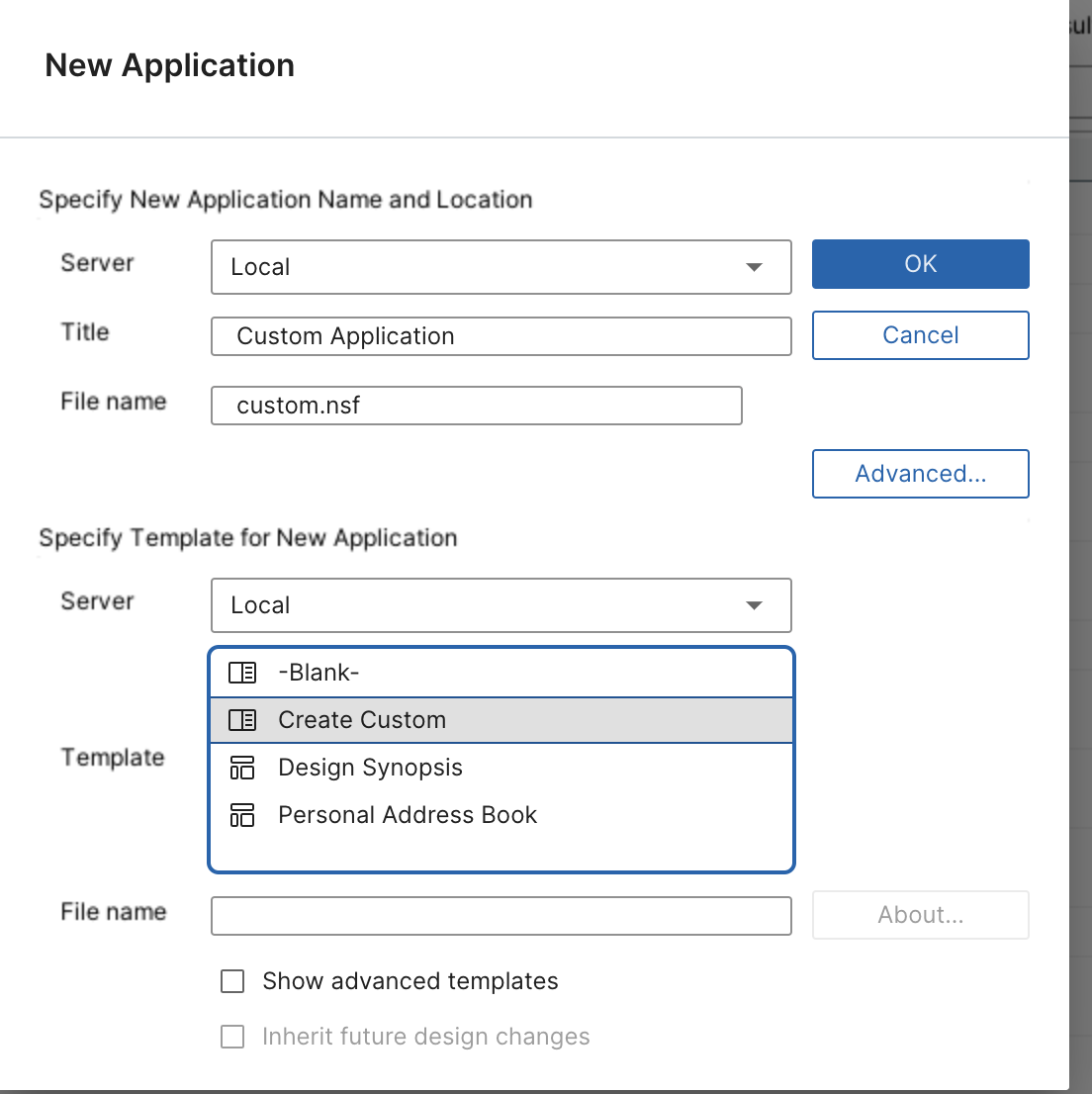 New custom application dialog box