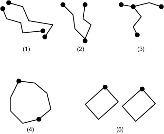 (1) is two lines that do not touch. (2) is two lines that touch at an end point. (3) is two lines that intersect at the end of one line and the middle of the other. (4) is a polygon. (5) is two polygons.