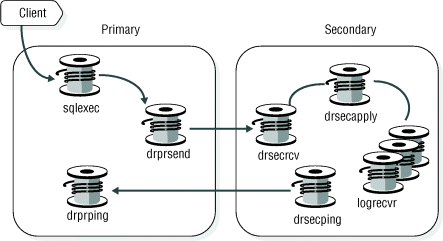 The paragraph that follows this figure describes the content of the figure.