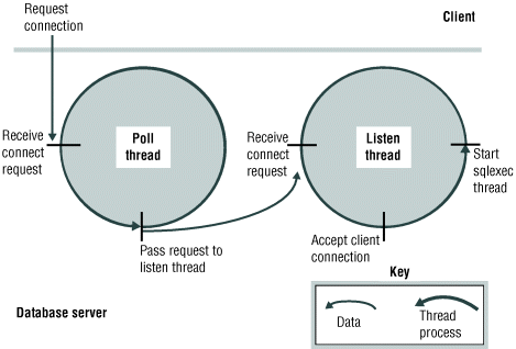 The paragraphs that precede this figure describe the content of the figure.