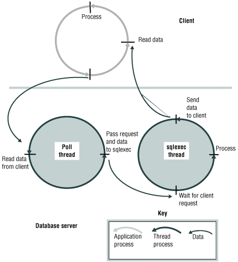 The paragraphs that precede this figure describe the content of the figure.