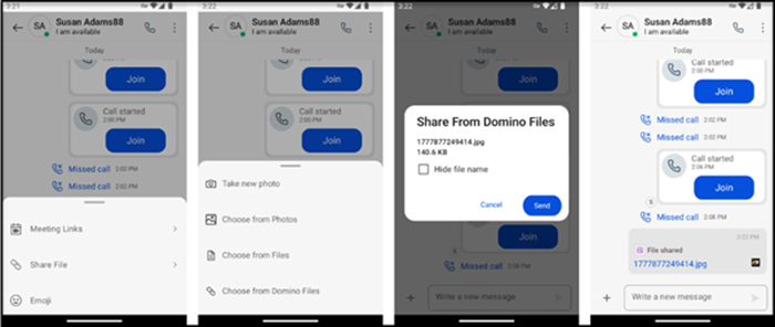 Domino Files share