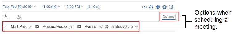 Meeting options when scheduling a meeting