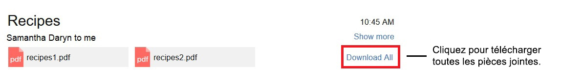 Cliquez sur l'option Télécharger tout pour télécharger toutes les pièces.