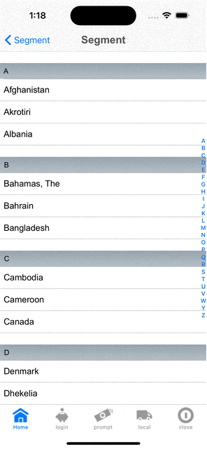 Enable Dictionary true