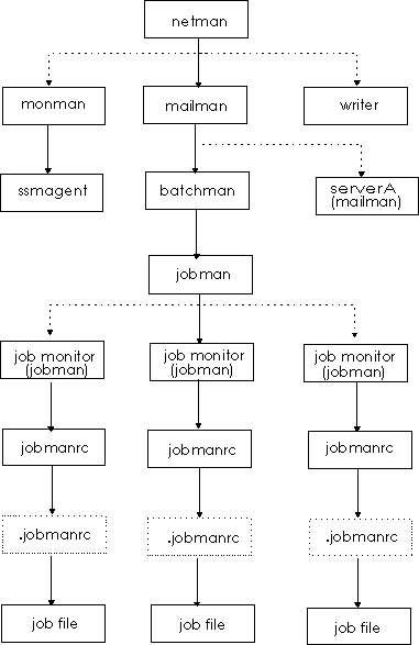 This picture displays the HCL Workload Automation process tree in UNIX workstations.